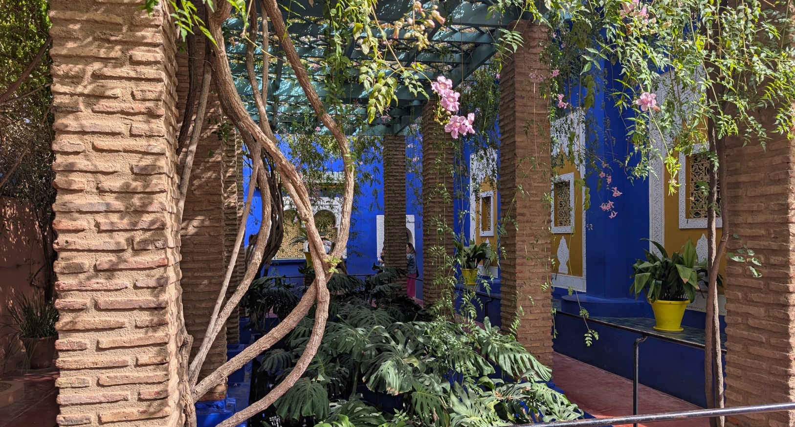 And Soo Green With Plants